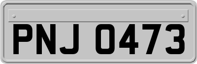 PNJ0473