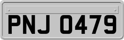 PNJ0479