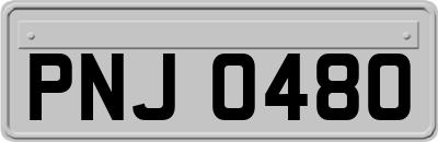 PNJ0480