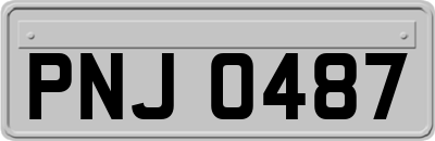 PNJ0487