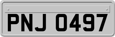 PNJ0497