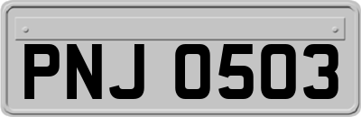 PNJ0503