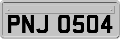 PNJ0504