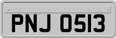 PNJ0513