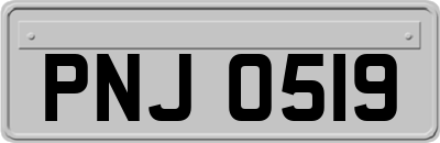 PNJ0519