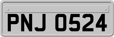 PNJ0524