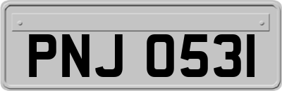 PNJ0531