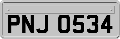 PNJ0534
