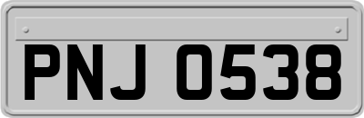 PNJ0538