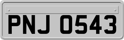 PNJ0543