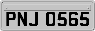 PNJ0565