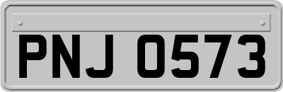 PNJ0573