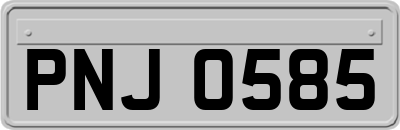 PNJ0585