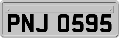 PNJ0595