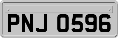 PNJ0596
