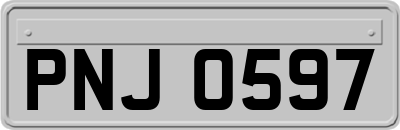 PNJ0597
