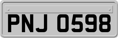 PNJ0598