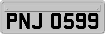PNJ0599