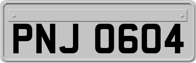 PNJ0604