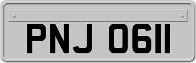 PNJ0611