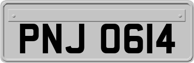 PNJ0614