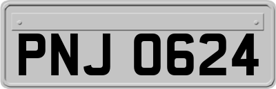 PNJ0624