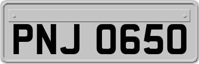 PNJ0650