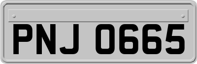PNJ0665