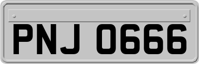 PNJ0666