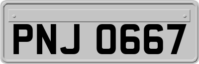 PNJ0667