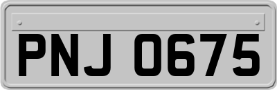 PNJ0675