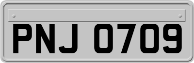 PNJ0709