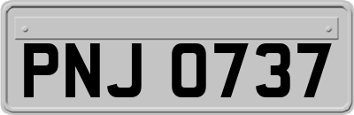 PNJ0737