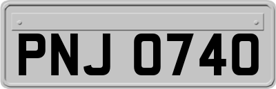 PNJ0740