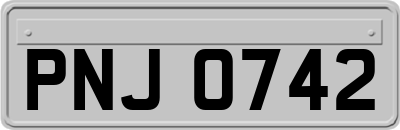 PNJ0742