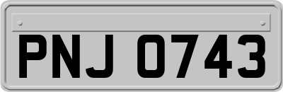 PNJ0743