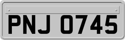 PNJ0745
