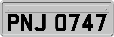 PNJ0747