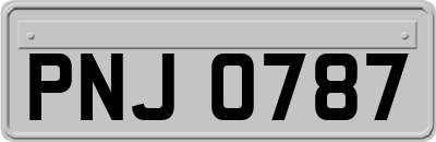 PNJ0787