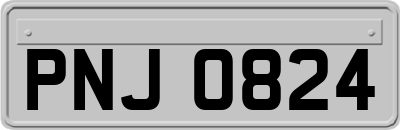 PNJ0824