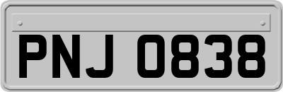 PNJ0838
