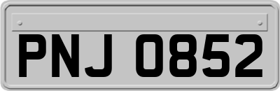 PNJ0852