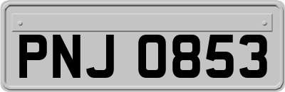 PNJ0853