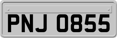 PNJ0855