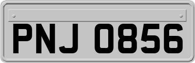 PNJ0856