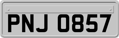 PNJ0857