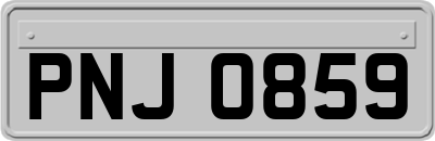 PNJ0859