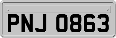 PNJ0863