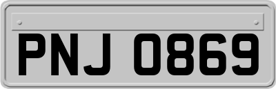 PNJ0869