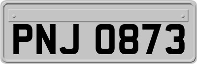 PNJ0873